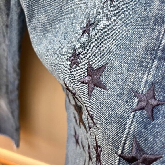 Pilcro & the Letterpress Embroidered Star Boyfriend Distressed Straight Jeans sz - Picture 4 of 6